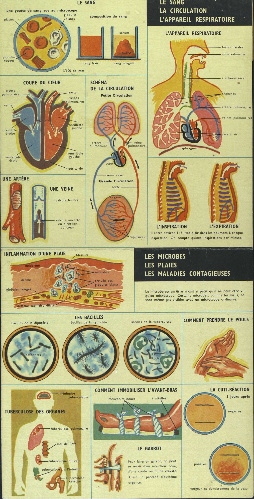 Les archives prennent corps ! (Exposition virtuelle)